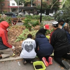 Participants learn how to plant seeds.