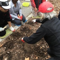 Participants listen to a horticulturist explaining how to plant seeds.