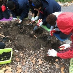 Participants practice planting seeds.