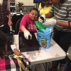 Participant preparing the soil.