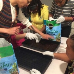 Participant preparing the soil.