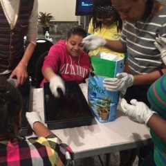 Participant preparing the soil.
