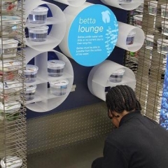 A participant is working on a display shelf at Petco.  ID: A participant wearing a black shirt and rubber gloves.