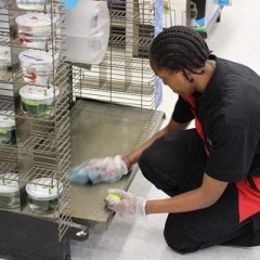 A participant is wiping a display shelf at Petco.  ID: A participant is kneeling to wipe a low shelf.