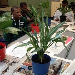 The group visits Brooklyn Botanic Garden.