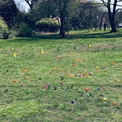 Egg Hunt Field