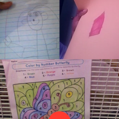 Art Class