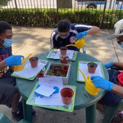 Horticulture